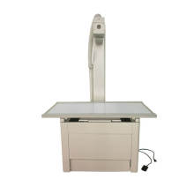 Equine digital radiography bed